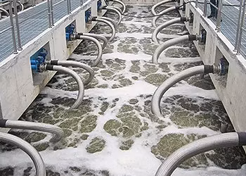 Poliacrilamida aniónica utilizada para el procesamiento de minerales de oro/plata/cobre